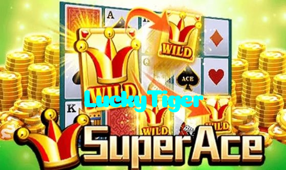 available types of LuckyTiger bet including pre-match live express and system bets